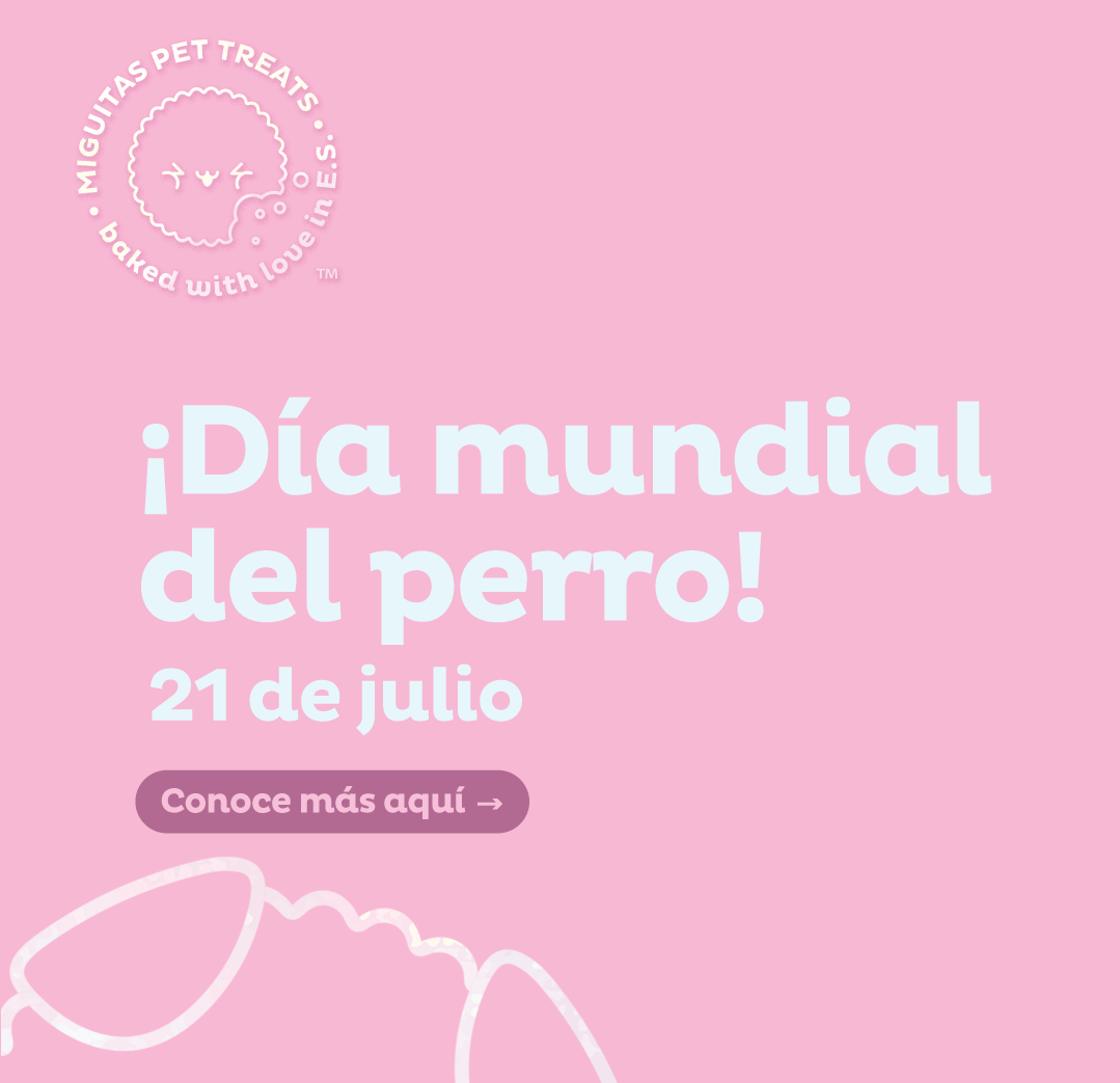 Imagen del blog