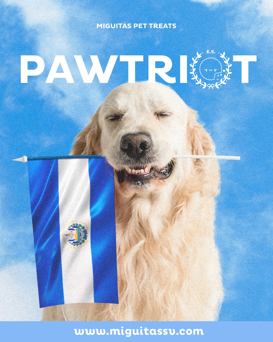 Imagen del blog