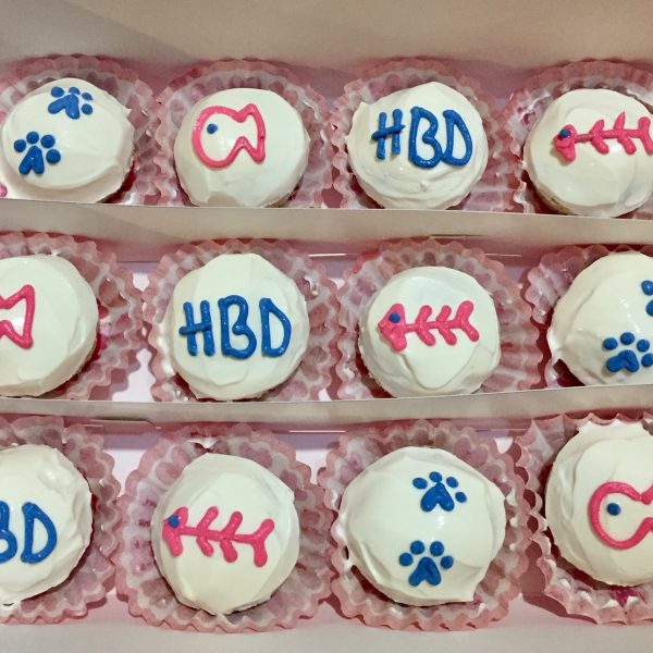 Kittycakes mini