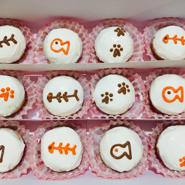 Kittycakes mini