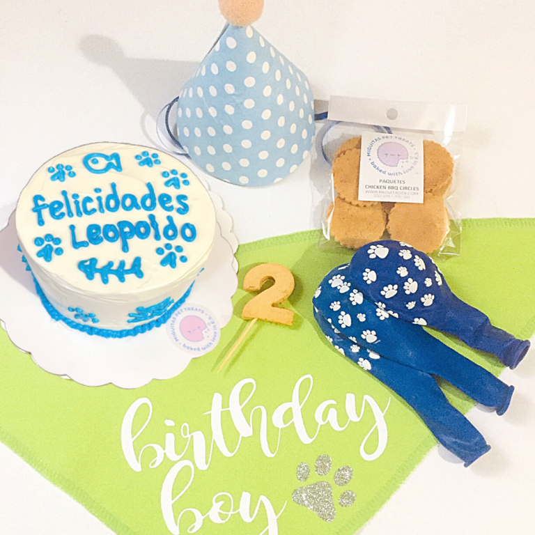 Pawty Pack Gatito