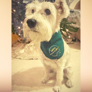 Woofmas Bandanas